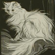 kucing
