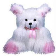teddy
