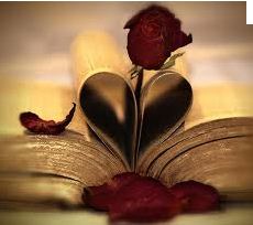 red rose in heart