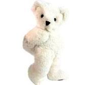 cuty tedy