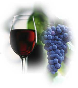 red wine