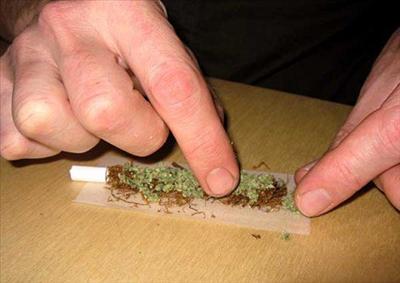 Cigara