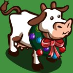 cow holiday