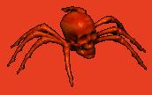 spider