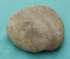 A rock