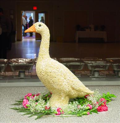 Got Goose?