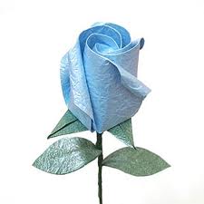 Blue rose 