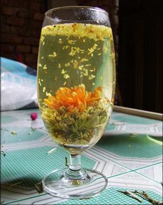 Jasmine