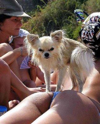 guarding carefully