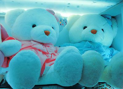 Teddy Bear