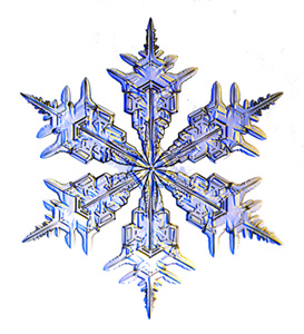 SnowFlake