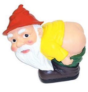 Gnome Of Mischief