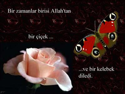 gül
