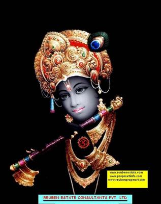KRISHNA's BLESSINGS