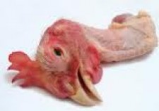 chicken head
