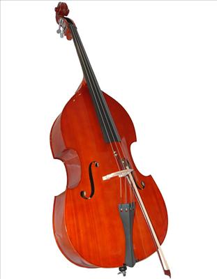 bass 3
