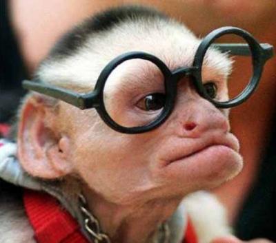 Intelligent