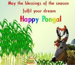 Happy Thai Pongal 