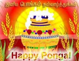 HappyThai Pongal 