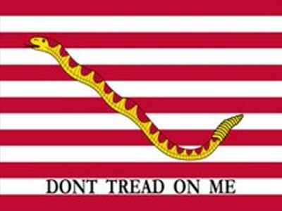 Navy Jack flag