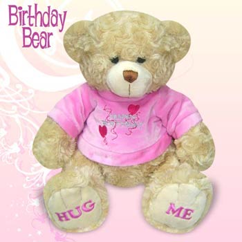 Huggable Bear