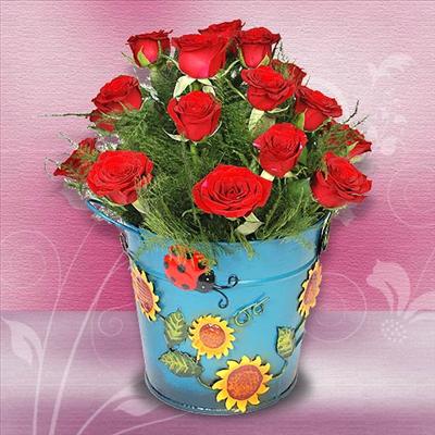 Roses For You