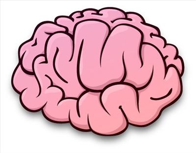 Brain
