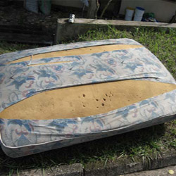 old mattress