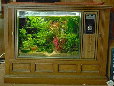 tv aquarium
