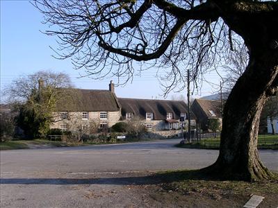 Sydling cross tree.