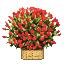 Valentine Flower