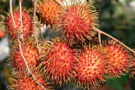Rambutan Binjai