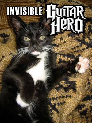 Awesome Lolcat