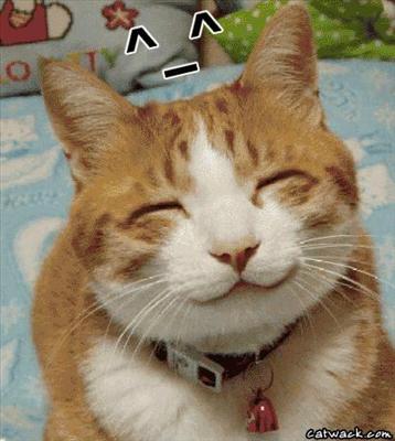 Lolcat