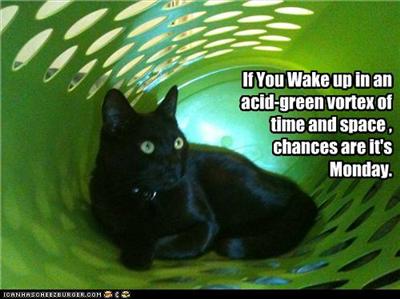 Monday lolcat