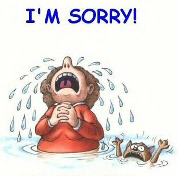 I am Sorry