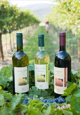 Vino