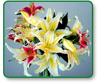 Flower Three