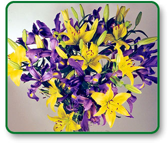 Flower Seven