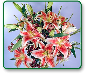 Flower Five