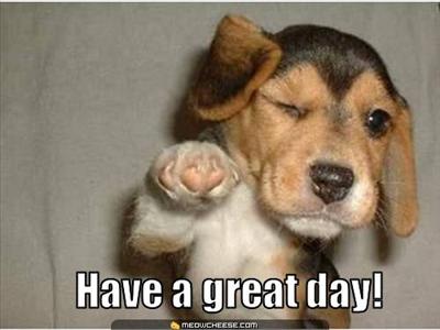 Have a great day
