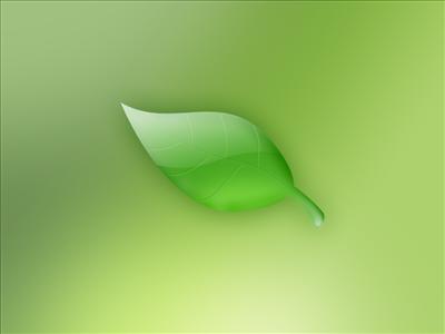 Leaf