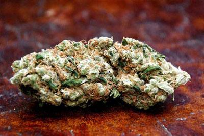 Sour Diesel