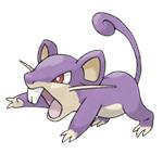 Rattata