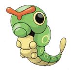 Caterpie