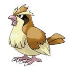 Pidgey