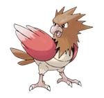 Spearow