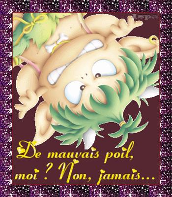 Tare ta gueule !