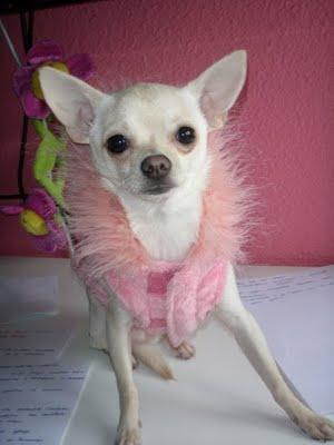 Te presento a miss Universe!!!