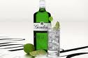 Gordon's Gin & Tonic